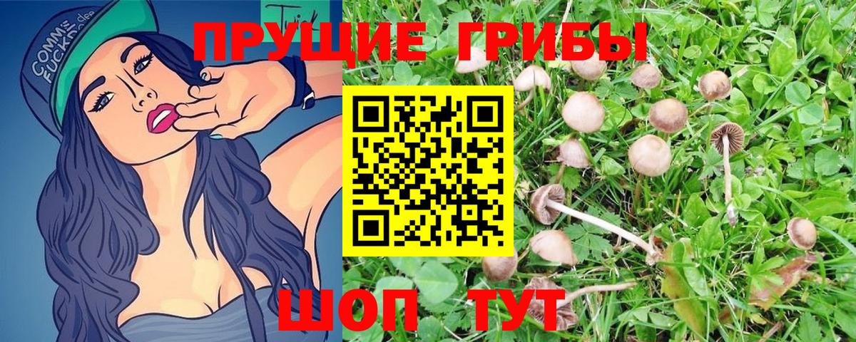Заринск  купить наркотики цена  Псилоцибиновые грибы MAGIC MUSHROOMS  Вход с VPN  Галлюциногенные грибы мицелий 